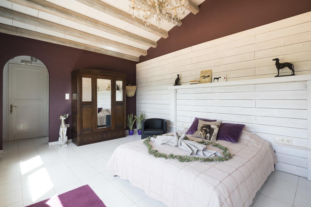 Can Patiras B&B Cistella Exterior photo